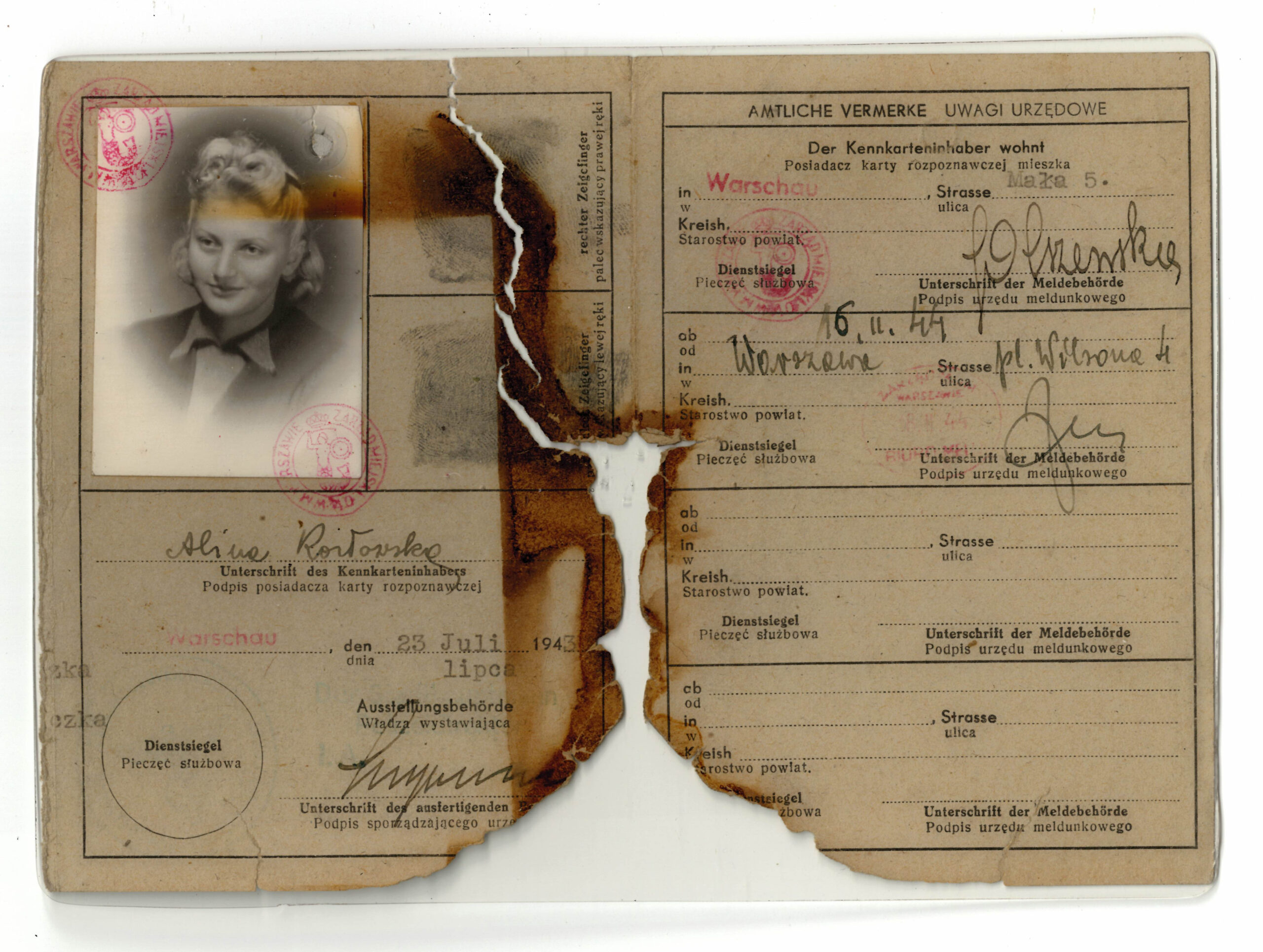 False Polish-Catholic Identification card - Illinois Holocaust Museum